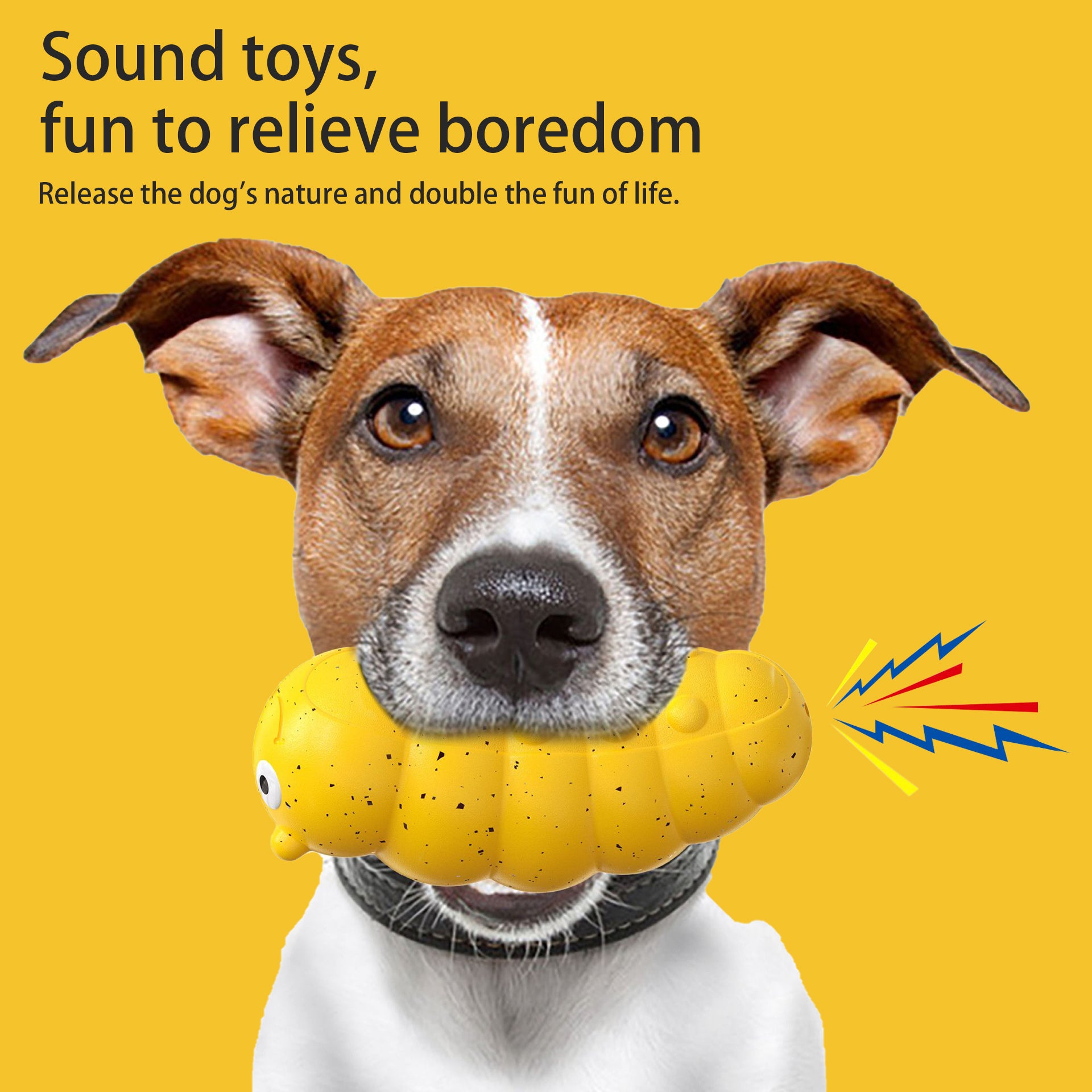 Teething Toy for Dogs